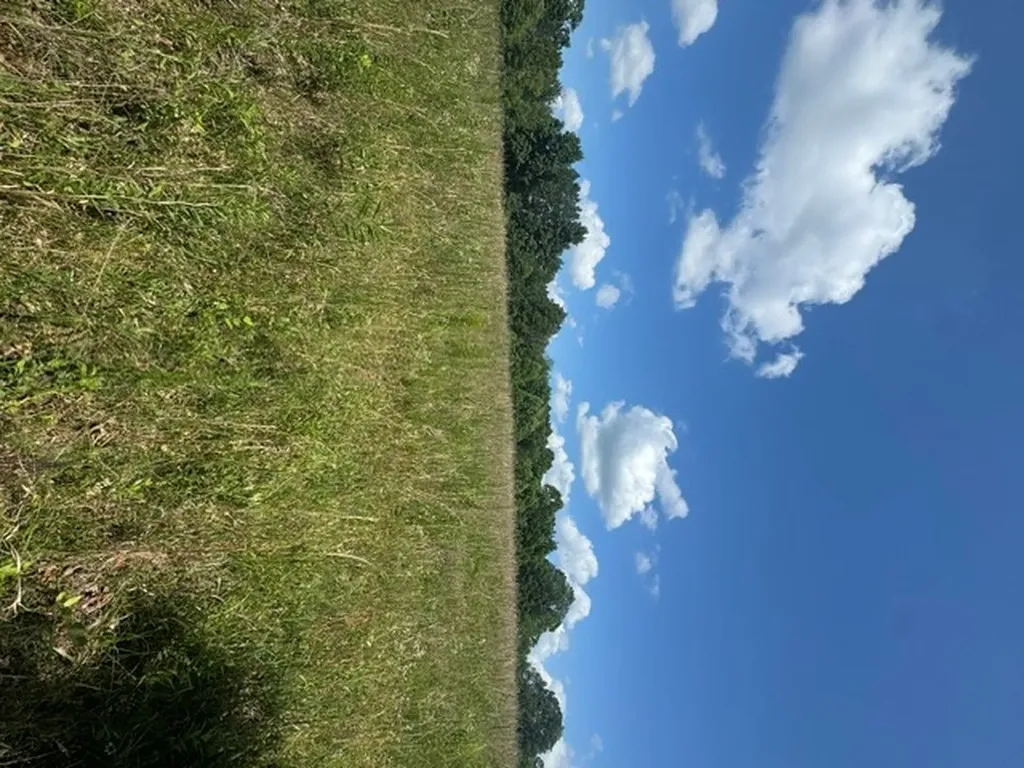 0 Claude Hargis Lane Crawford TN 38554