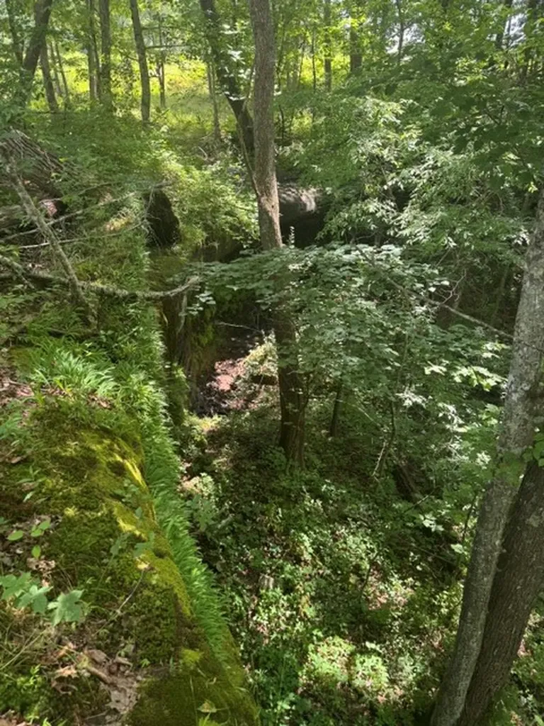 0 East Fork Lane Crawford TN 38554