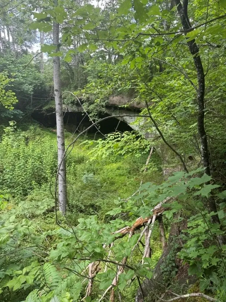0 East Fork Lane Crawford TN 38554