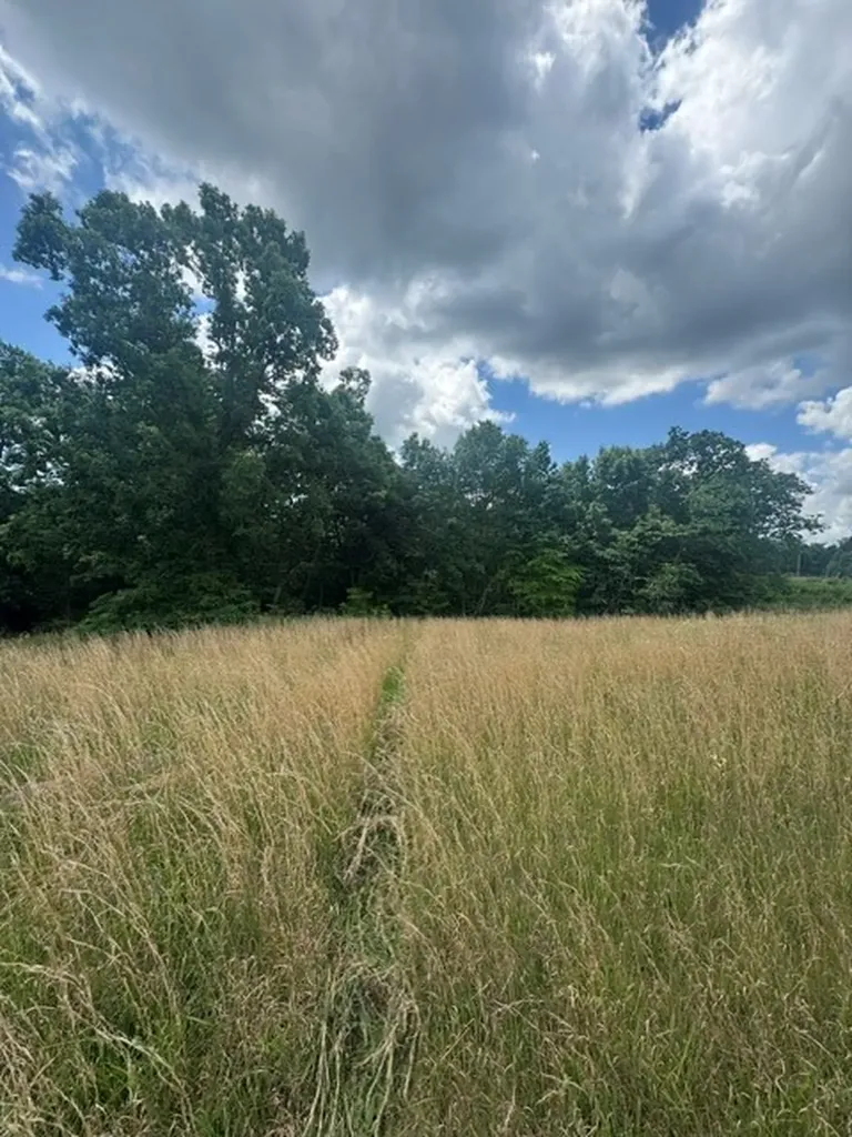 0 East Fork Lane Crawford TN 38554