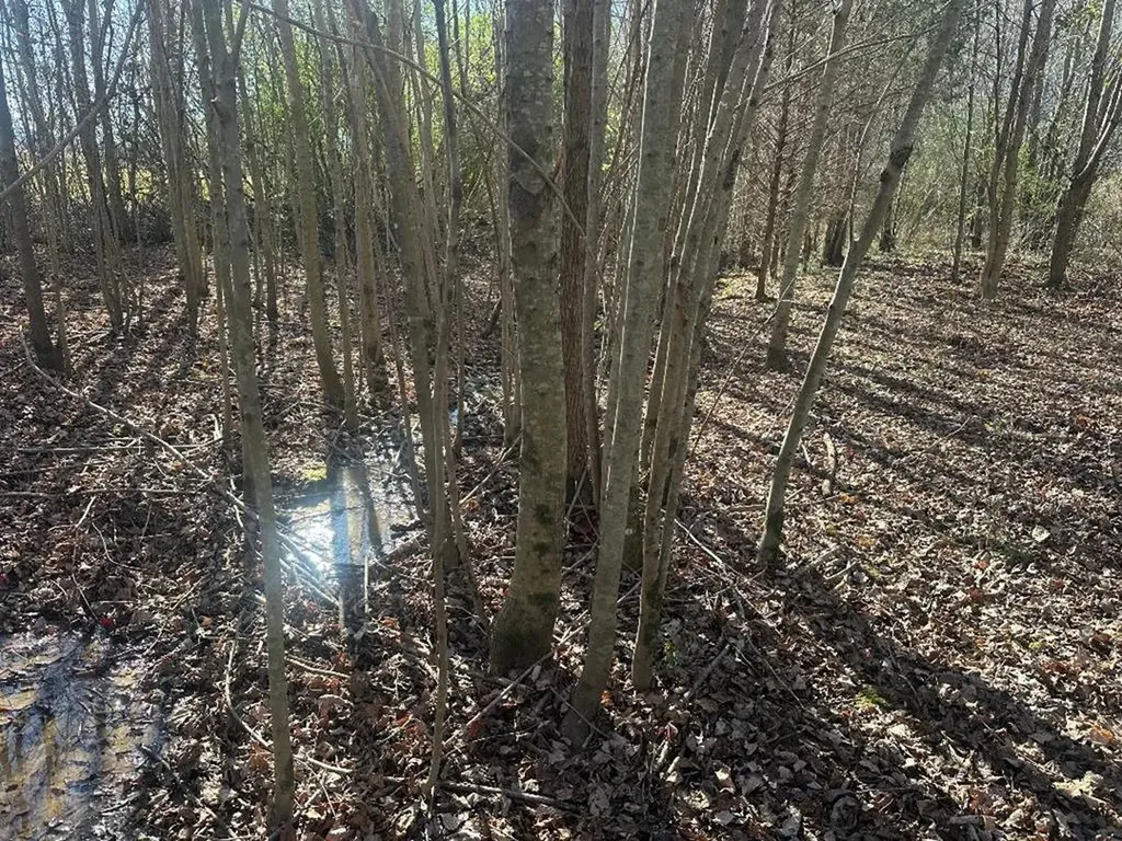 0 Gum Springs Mountain Road Sparta TN 38583
