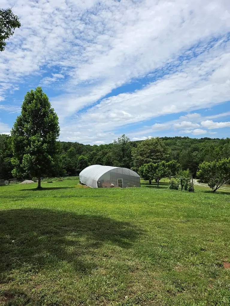 1302 Cummingsville & Sparkmantown Road Doyle TN 38559