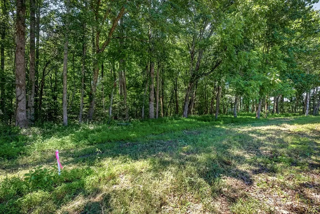 0 Lowery Road Smithville TN 37166