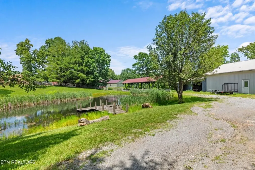 1036 Dye Road Clarkrange TN 38553-5169