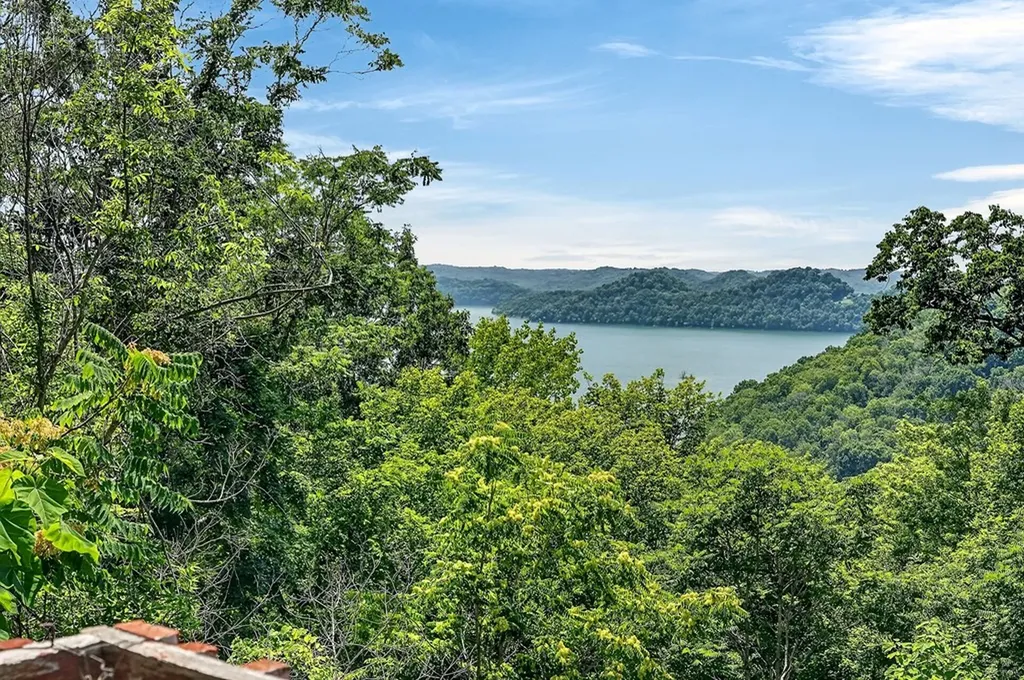241 Nautilus Point Silver Point TN 38582