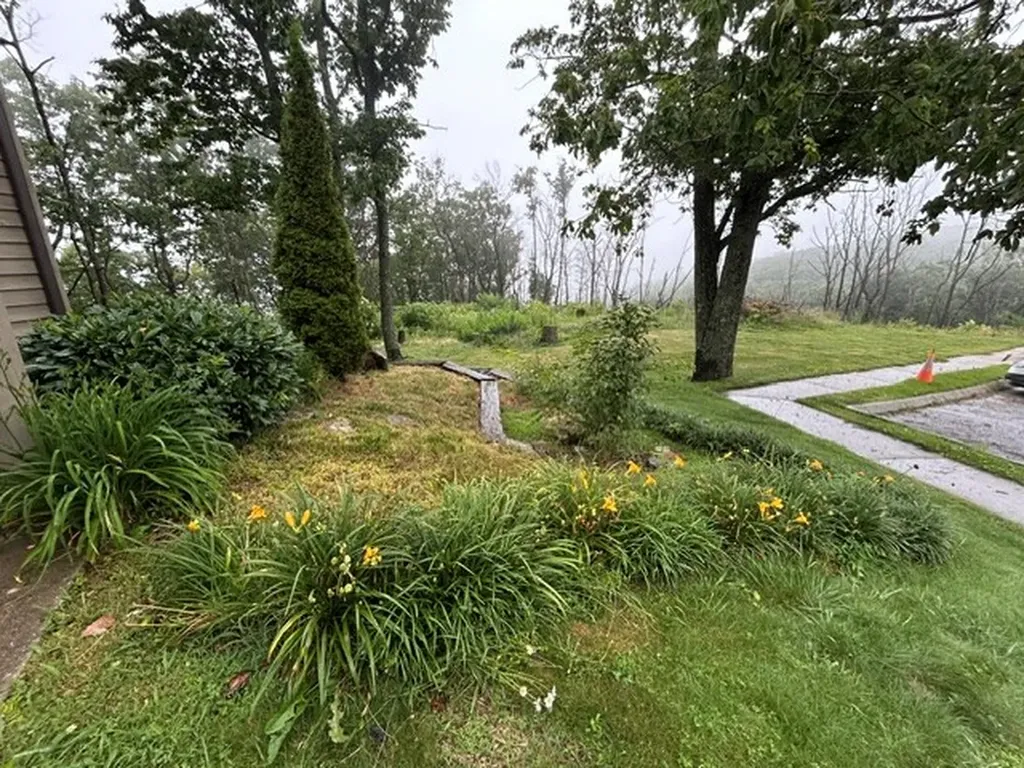 391 Moytoy Crab Orchard TN 37723
