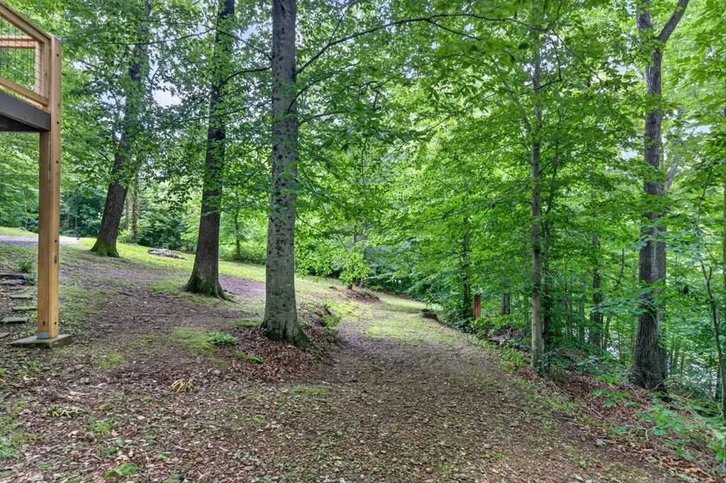 57 Steve Rich Road Red Boiling Springs TN 37150