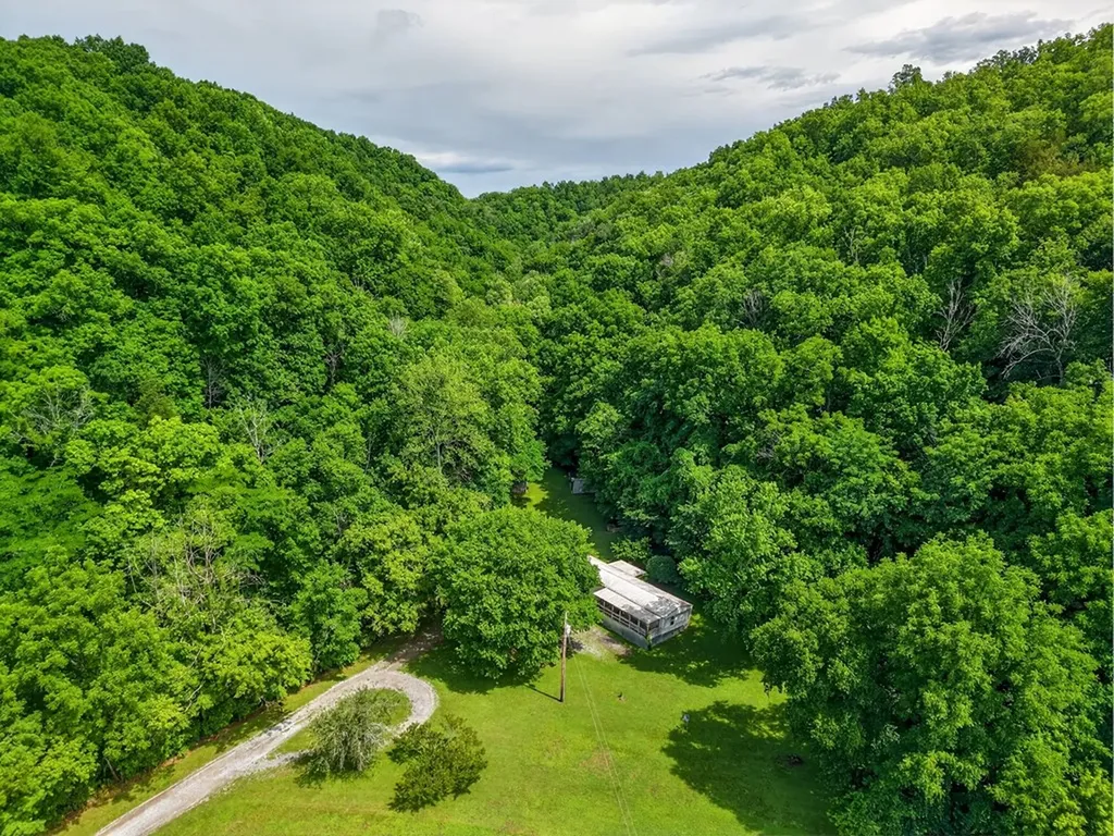 278 Aaron Pennington Lane Celina TN 38551