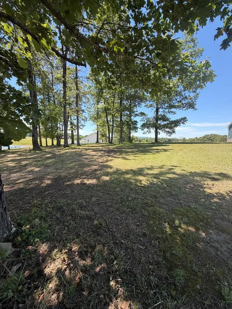 156 Bessie Gribble Road Smithville TN 37166