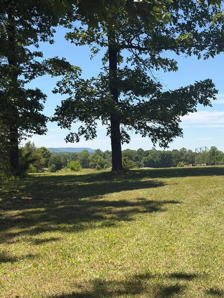 156 Bessie Gribble Road Smithville TN 37166