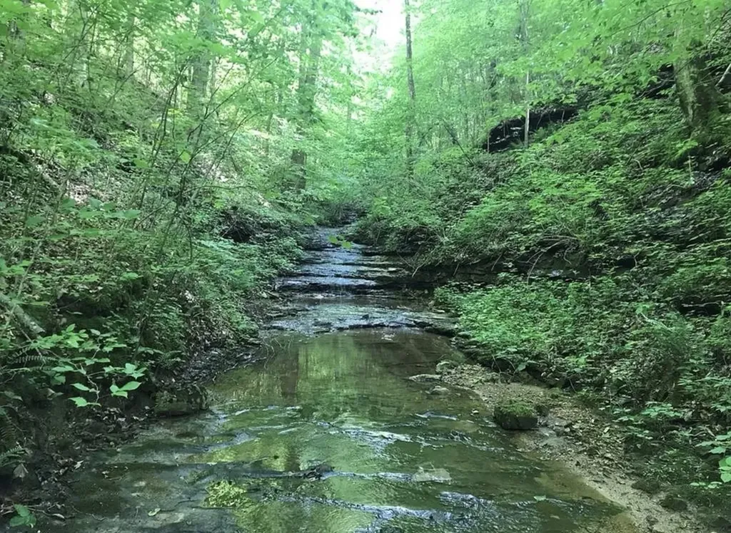 00 Backbone Road Sparta TN 38583