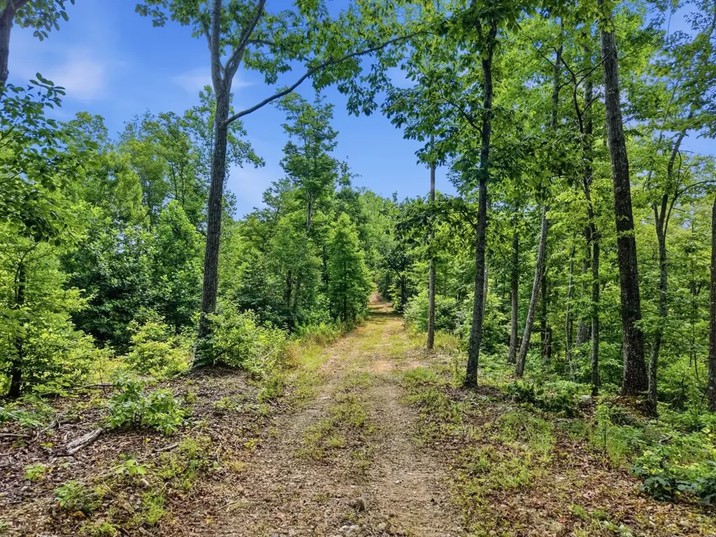 00 Backbone Road Sparta TN 38583