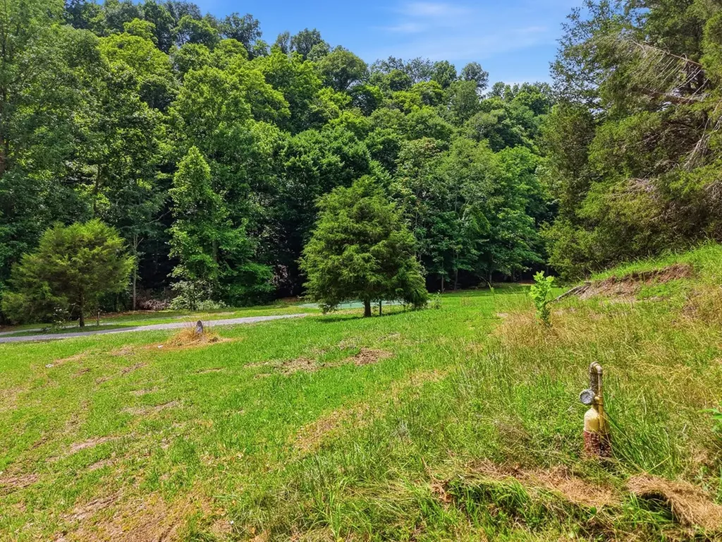 1639 Eucalyptus Drive Byrdstown TN 38549