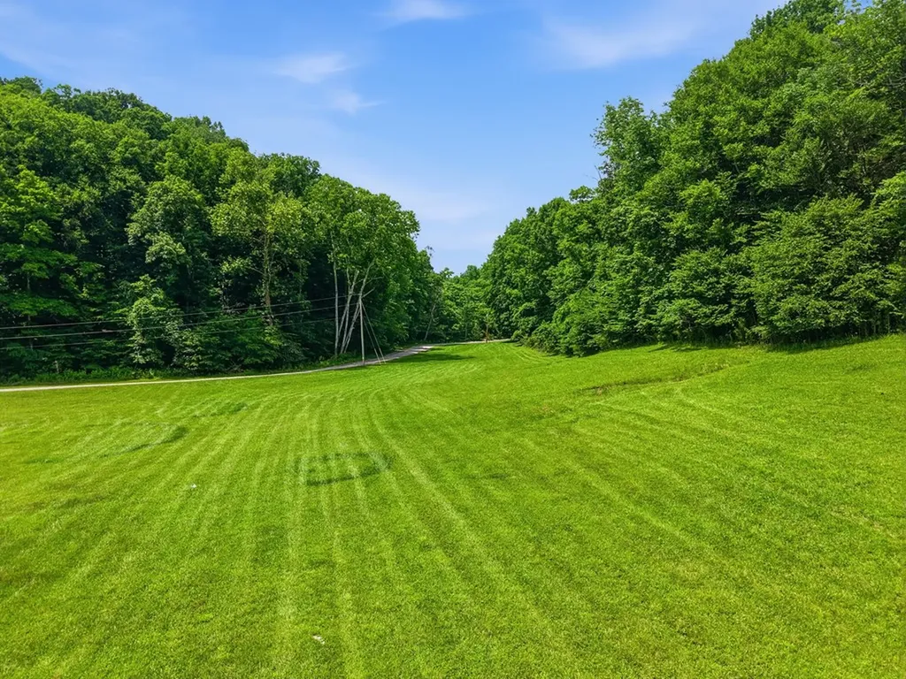 1639 Eucalyptus Drive Byrdstown TN 38549