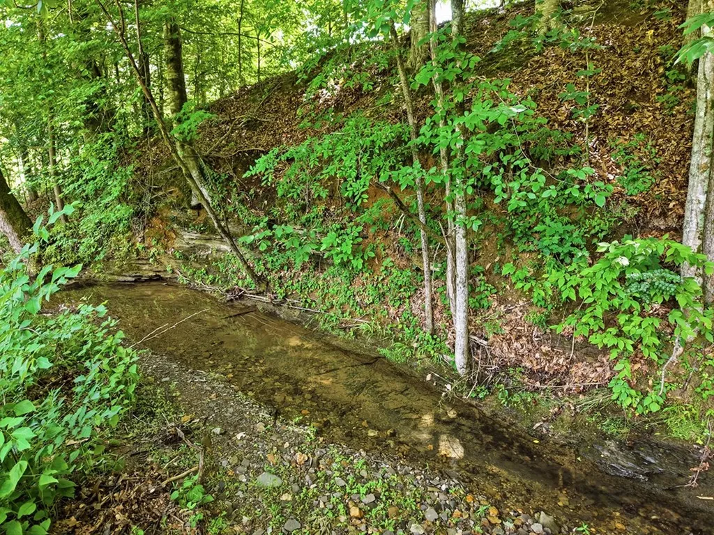 1639 Eucalyptus Drive Byrdstown TN 38549
