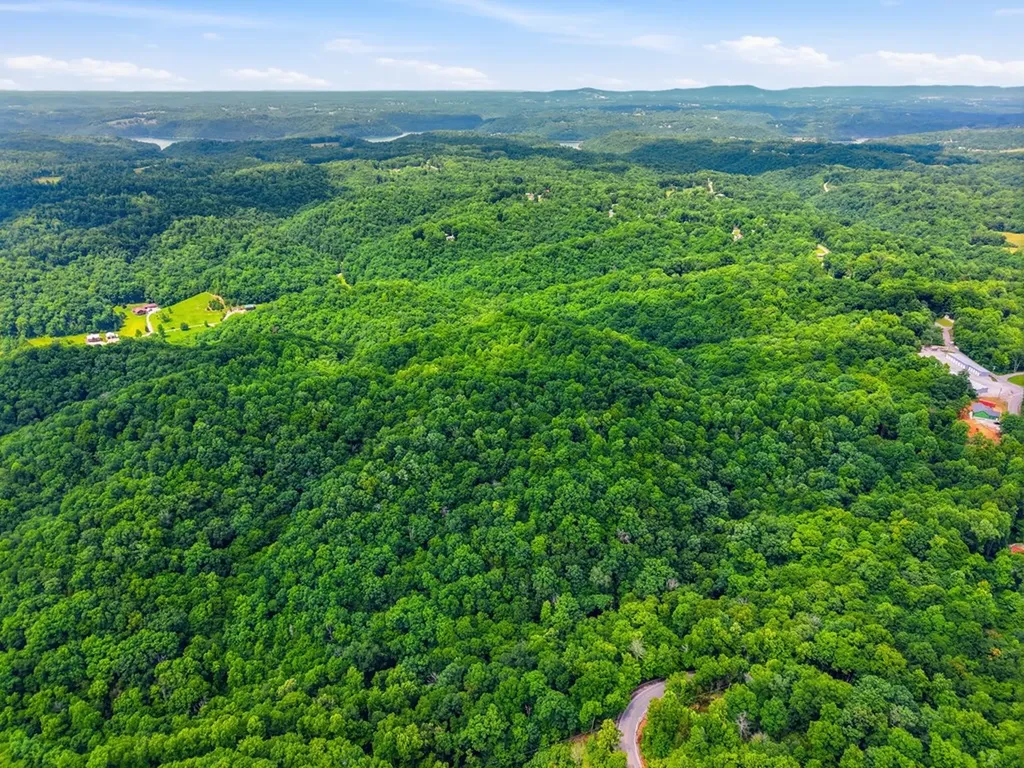 1639 Eucalyptus Drive Byrdstown TN 38549