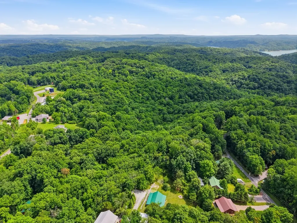 1639 Eucalyptus Drive Byrdstown TN 38549