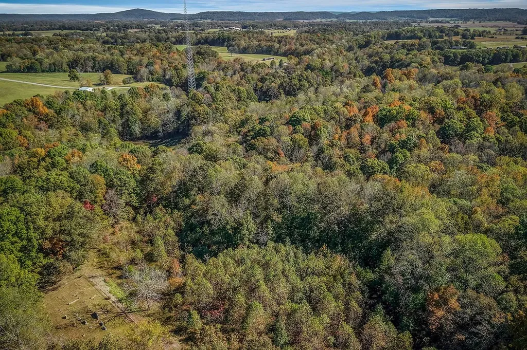 9.43 Ac Roberts Cemetery Road Walling TN 38587