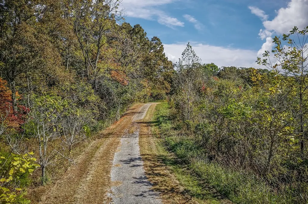 9.43 Ac Roberts Cemetery Road Walling TN 38587