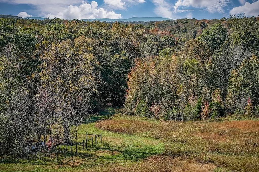 9.43 Ac Roberts Cemetery Road Walling TN 38587