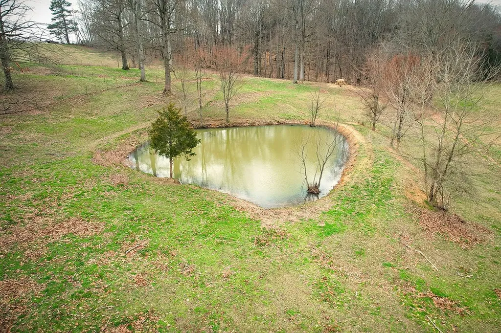 1152 Dogwalk Road Monroe TN 38573