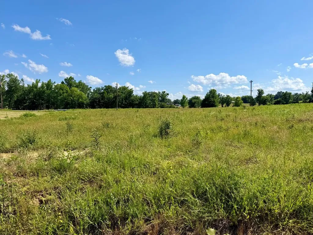 791 Regan Loop Lot 32 Baxter TN 38544