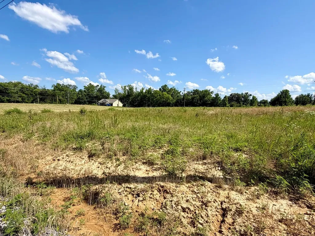 791 Regan Loop Lot 32 Baxter TN 38544