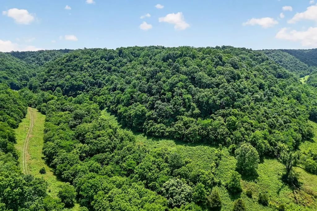 747 Hunting Creek Road Whitleyville TN 38588