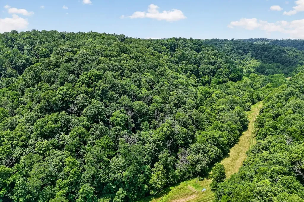 747 Hunting Creek Road Whitleyville TN 38588