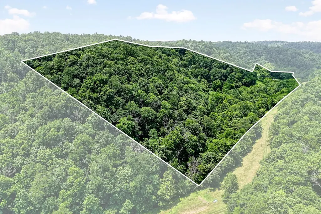 747 Hunting Creek Road Whitleyville TN 38588