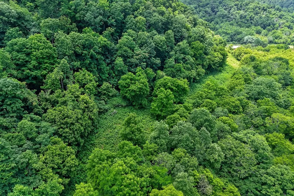 747 Hunting Creek Road Whitleyville TN 38588