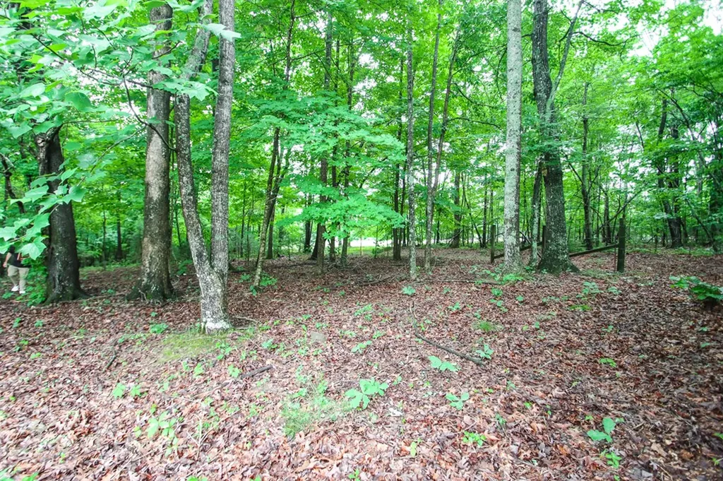 541 Toy Slatten Road Sparta TN 38583