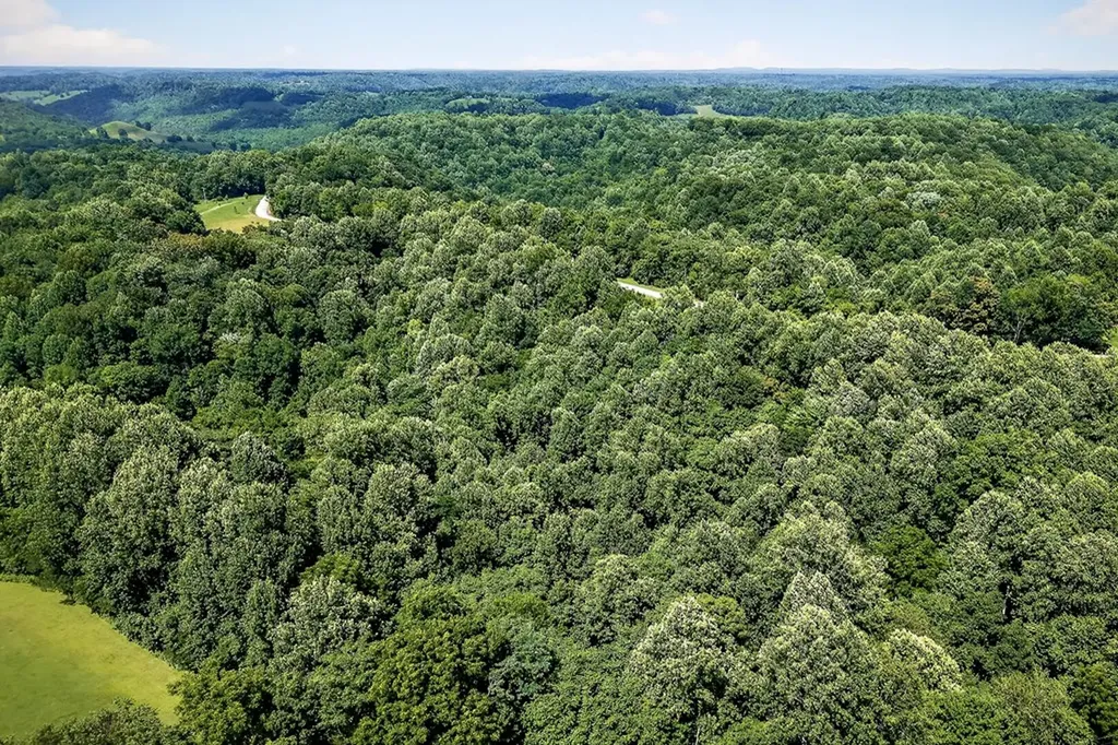 1344 Shepardsville Highway Granville TN 38564