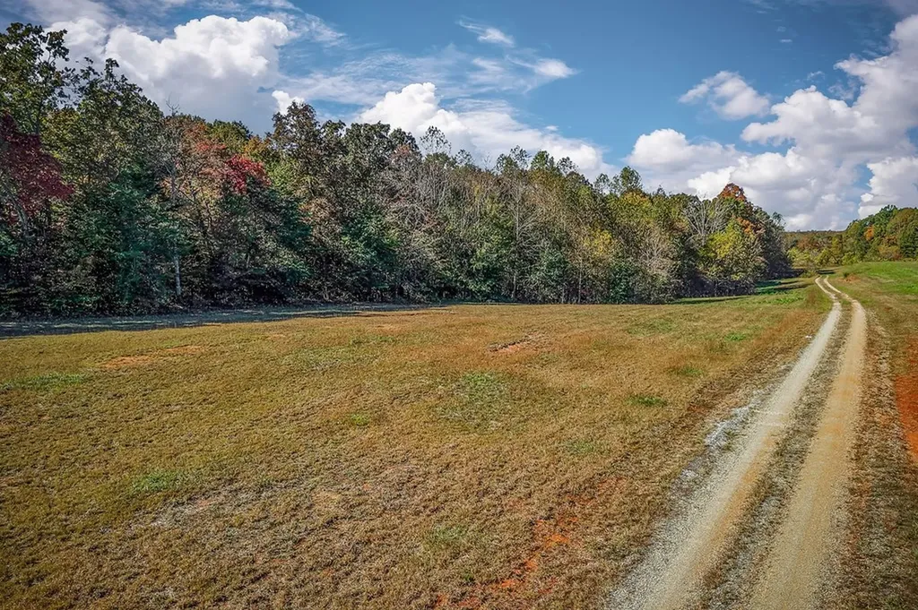 00 Roberts Cemetery Road Walling TN 38587