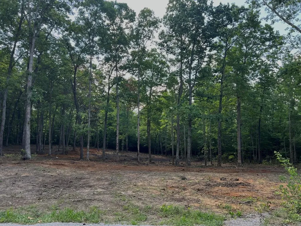 367 Hillis Cemetery Road Spencer TN 38585