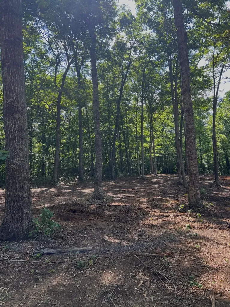 367 Hillis Cemetery Road Spencer TN 38585