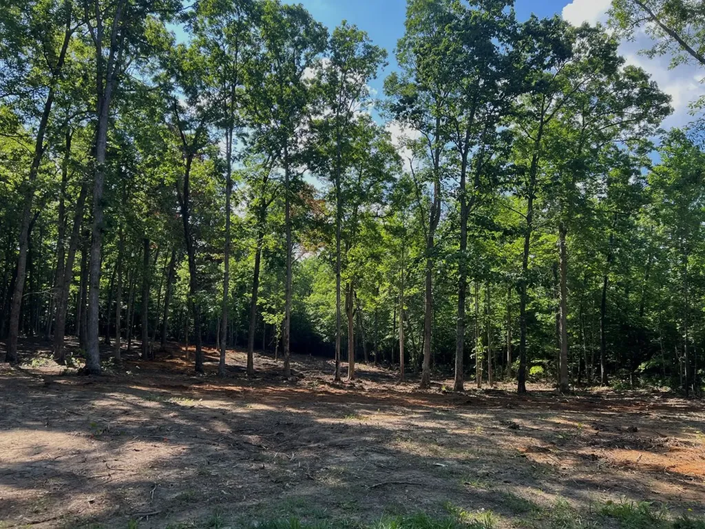 367 Hillis Cemetery Road Spencer TN 38585