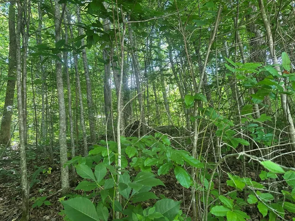 Lot 13 Lot 13 Apache Road Jamestown TN 38556