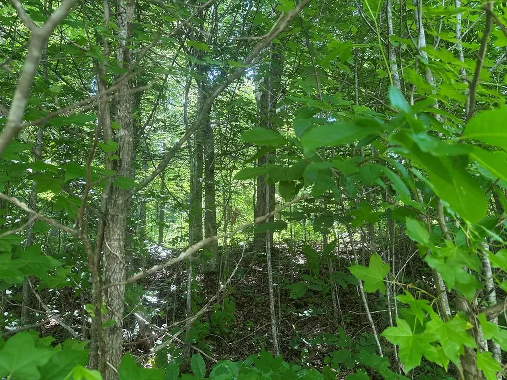 Lot 13 Lot 13 Apache Road Jamestown TN 38556