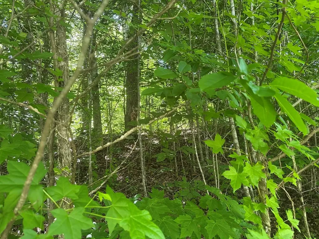 Lot 13 Lot 13 Apache Road Jamestown TN 38556
