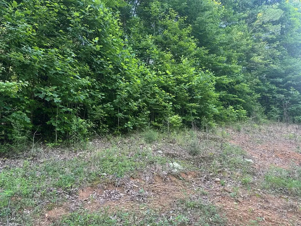 Lot 13 Lot 13 Apache Road Jamestown TN 38556