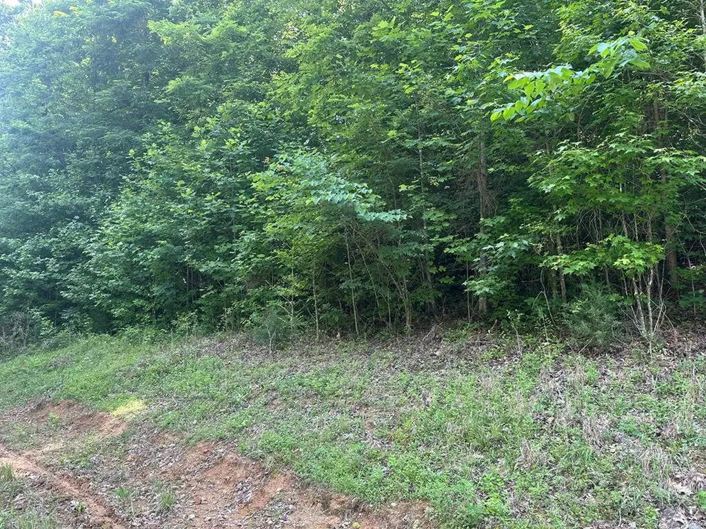 Lot 13 Lot 13 Apache Road Jamestown TN 38556