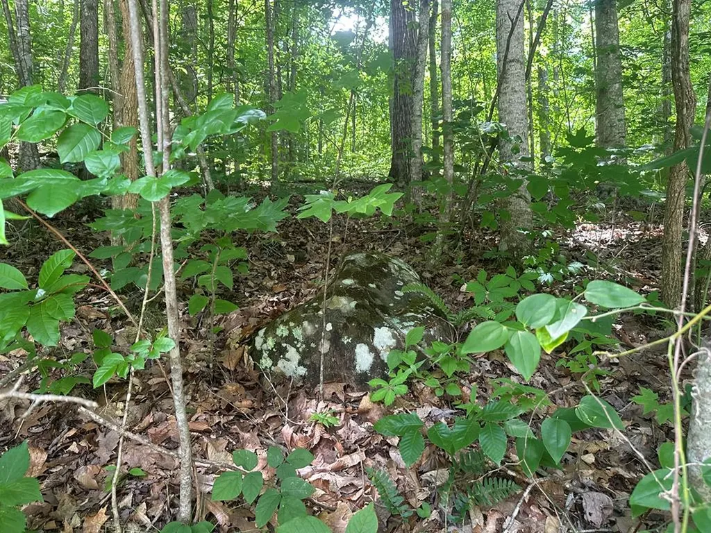 Lot 13 Lot 13 Apache Road Jamestown TN 38556