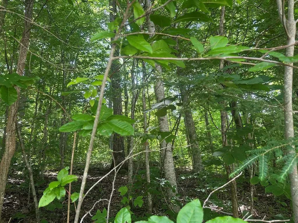 Lot 13 Lot 13 Apache Road Jamestown TN 38556
