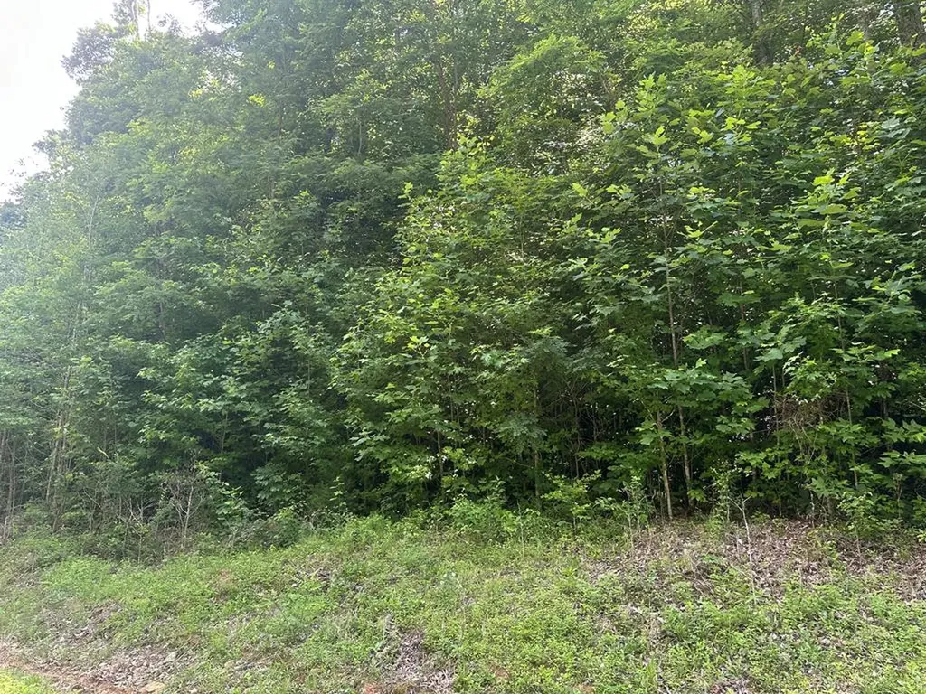 Lot 13 Lot 13 Apache Road Jamestown TN 38556