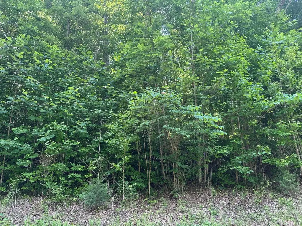 Lot 13 Lot 13 Apache Road Jamestown TN 38556