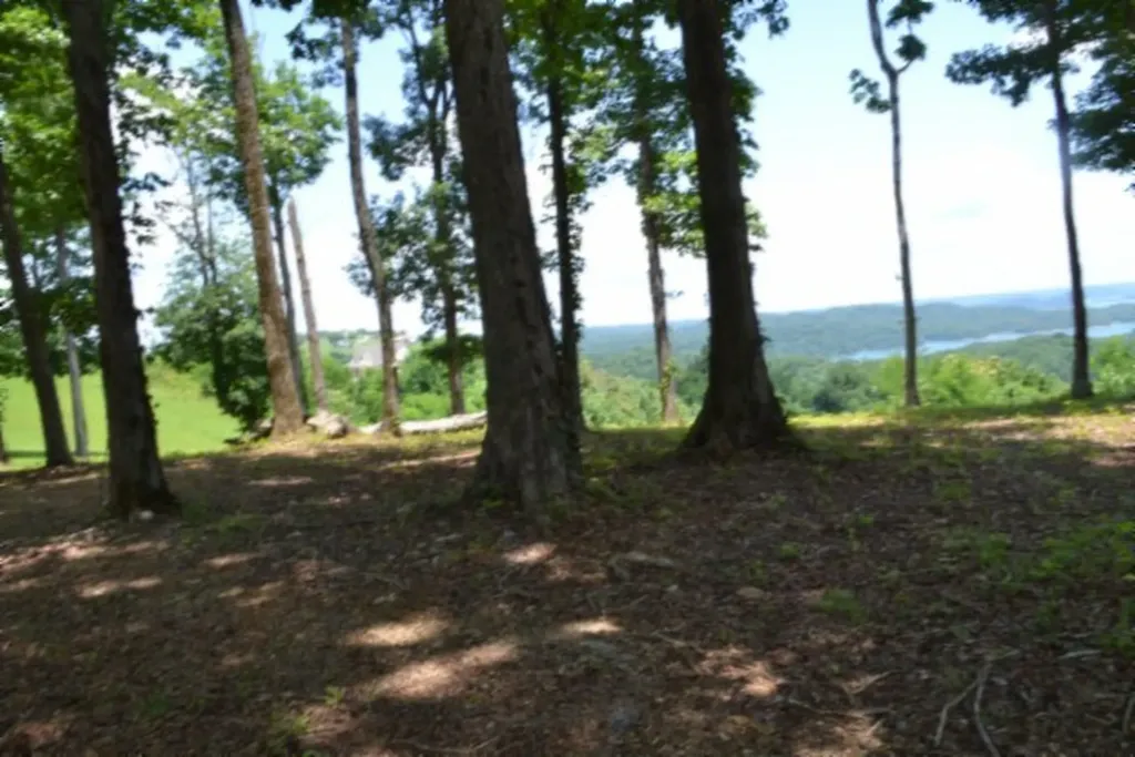 Lot 27c East Rockfish Road Hilham TN 38568