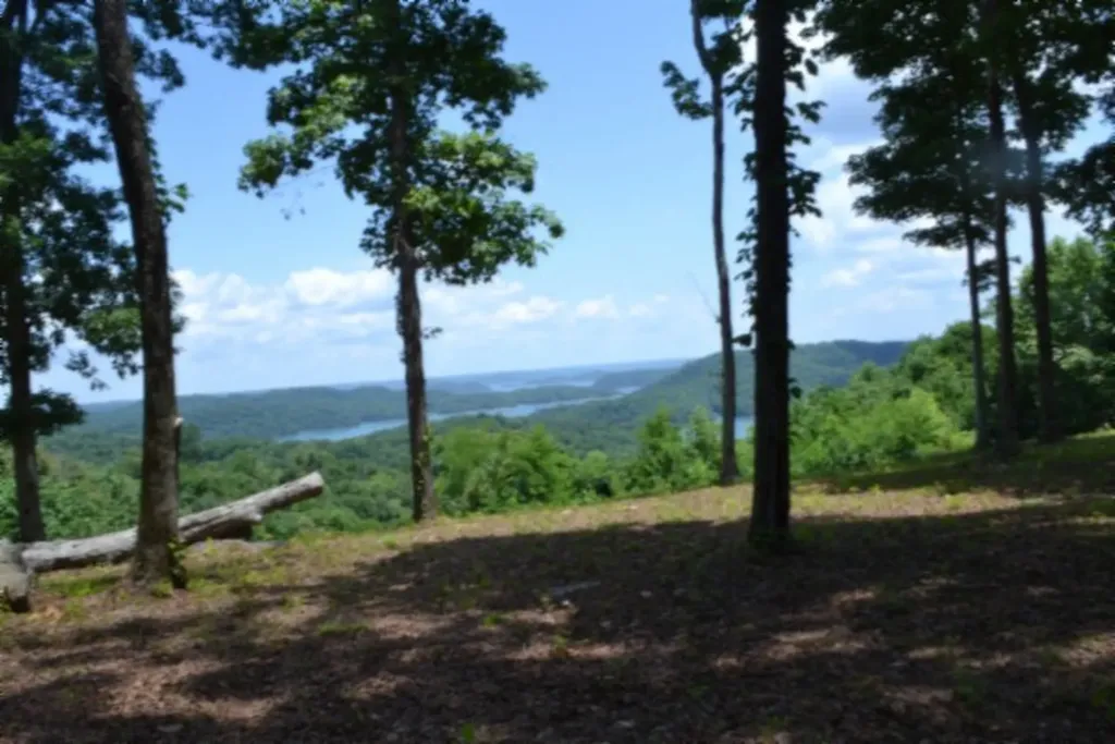 Lot 27c East Rockfish Road Hilham TN 38568