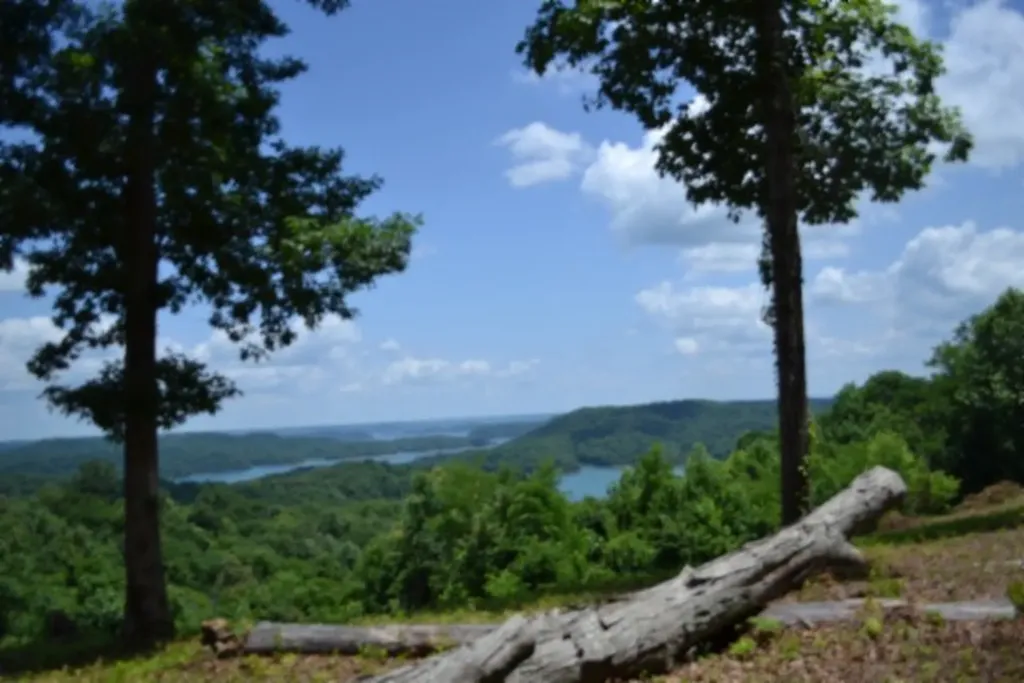 Lot 27c East Rockfish Road Hilham TN 38568