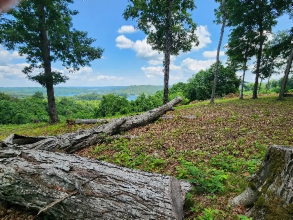 Lot 27c East Rockfish Road Hilham TN 38568